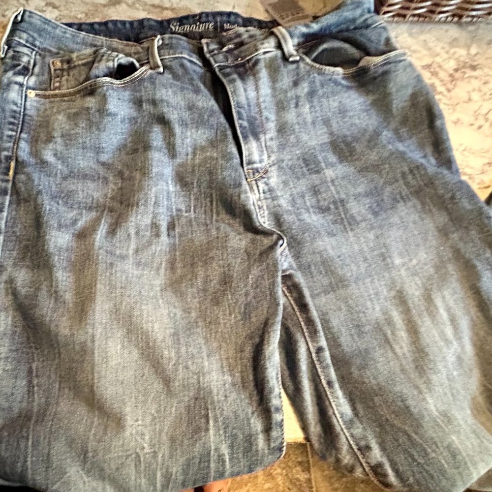 Signature by Levi Strauss & Co. Women's Plus Size Casual Mid Rise Modern Skinny